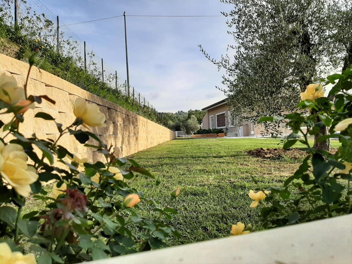 Le Mammole Bed & Breakfast San Miniato Exterior photo