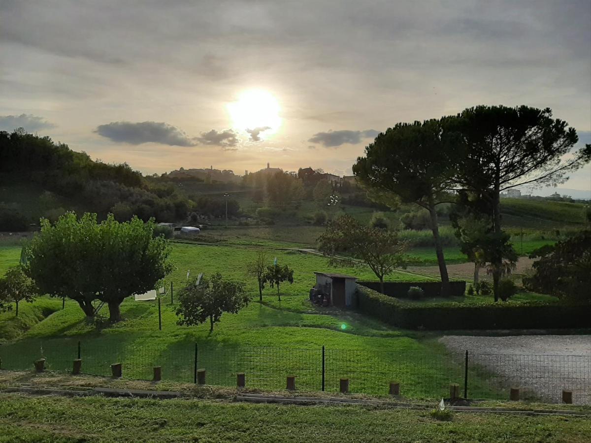 Le Mammole Bed & Breakfast San Miniato Exterior photo