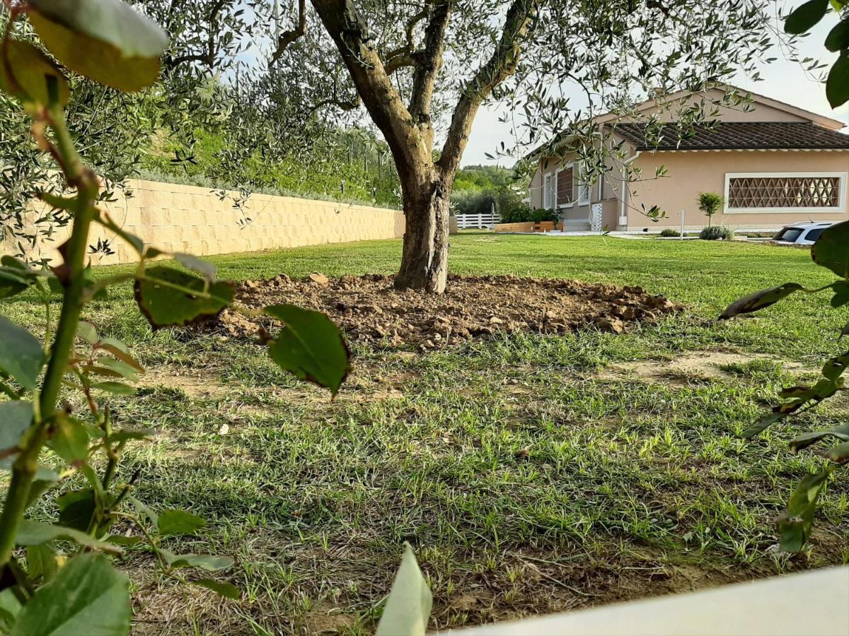 Le Mammole Bed & Breakfast San Miniato Exterior photo