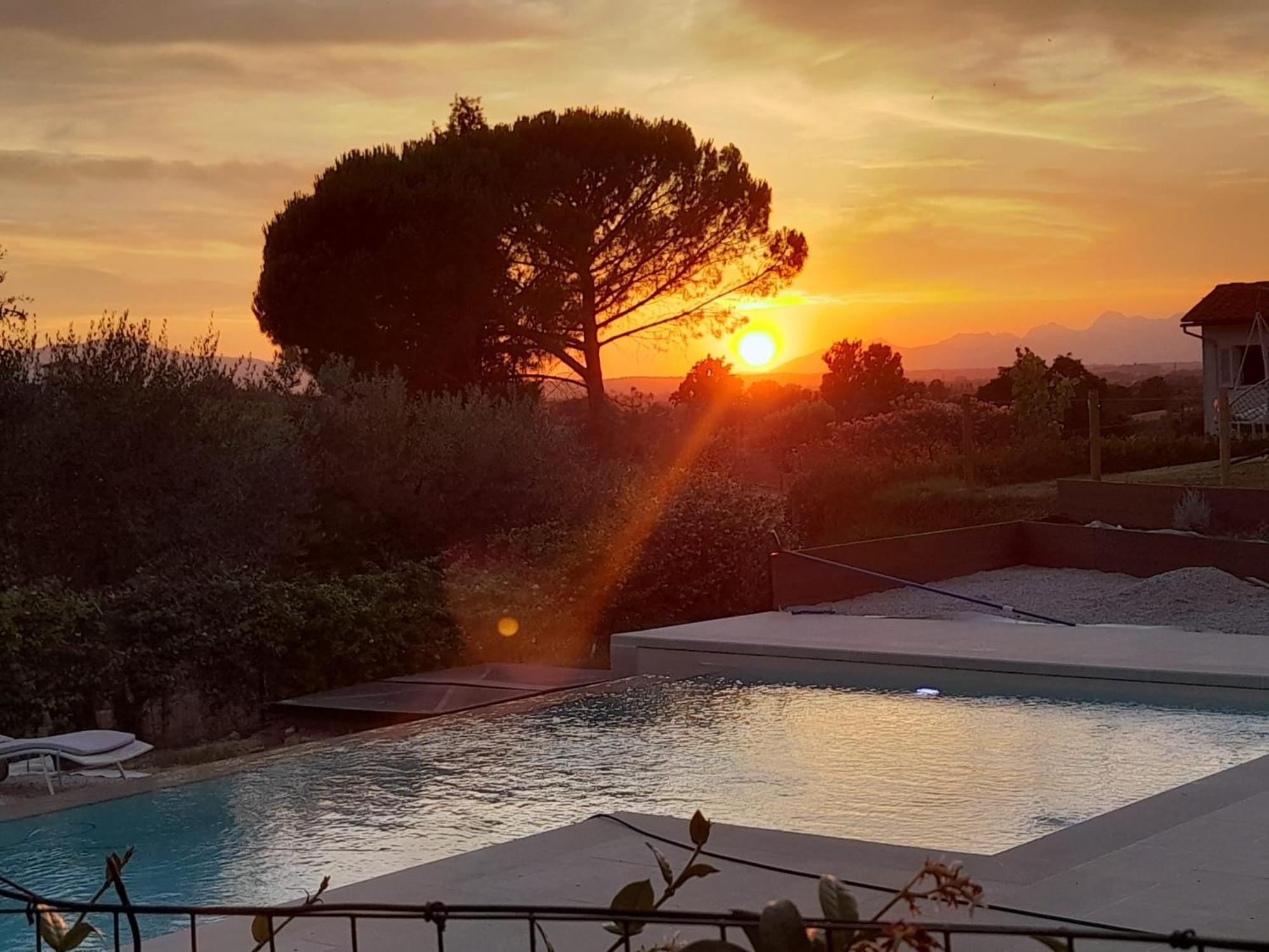 Le Mammole Bed & Breakfast San Miniato Exterior photo